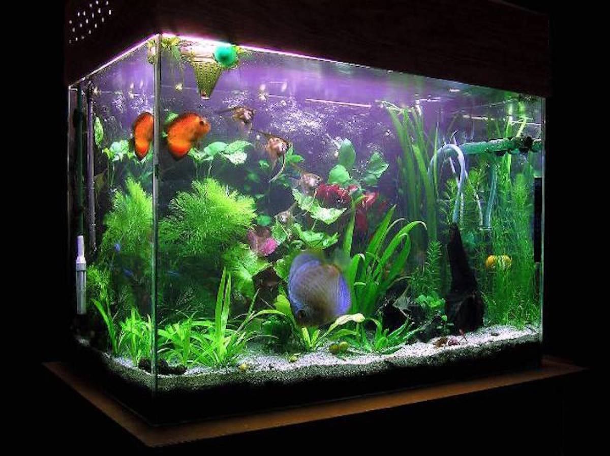 Customized polycarbonate glass aquariums